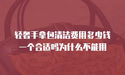轻奢手拿包清洁费用多少钱一个合适吗为什么不能用