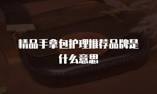 精品手拿包护理推荐品牌是什么意思