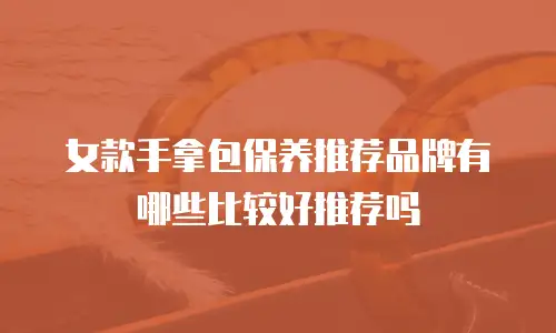 女款手拿包保养推荐品牌有哪些比较好推荐吗