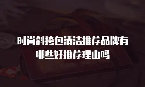时尚斜挎包清洁推荐品牌有哪些好推荐理由吗