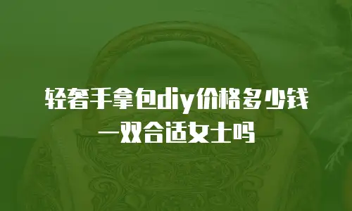 轻奢手拿包diy价格多少钱一双合适女士吗