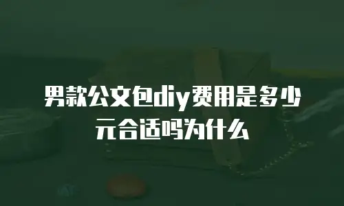 男款公文包diy费用是多少元合适吗为什么