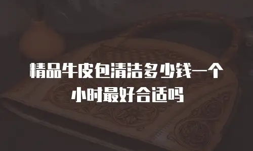 精品牛皮包清洁多少钱一个小时最好合适吗