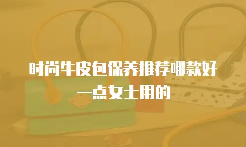 时尚牛皮包保养推荐哪款好一点女士用的