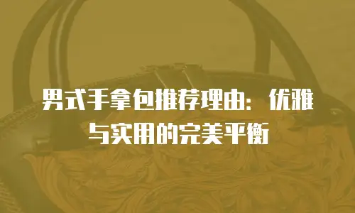 男式手拿包推荐理由：优雅与实用的完美平衡