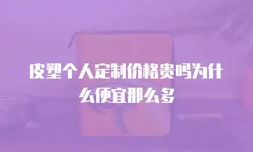 皮塑个人定制价格贵吗为什么便宜那么多
