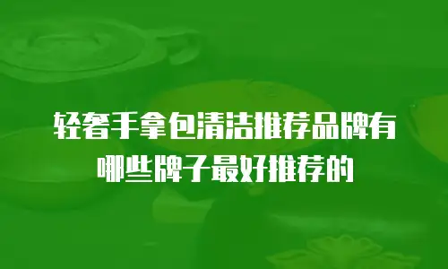 轻奢手拿包清洁推荐品牌有哪些牌子最好推荐的