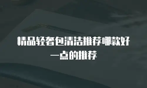 精品轻奢包清洁推荐哪款好一点的推荐