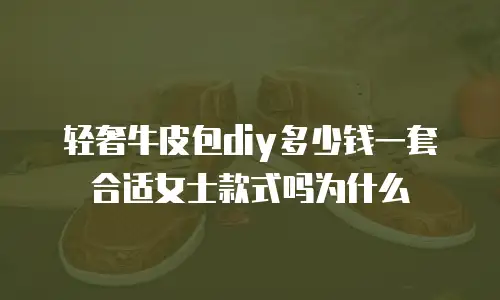 轻奢牛皮包diy多少钱一套合适女士款式吗为什么