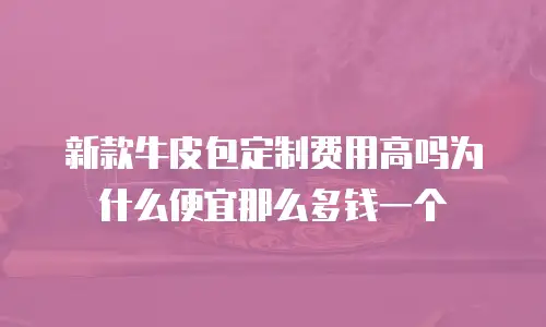新款牛皮包定制费用高吗为什么便宜那么多钱一个