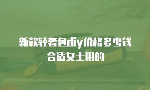 新款轻奢包diy价格多少钱合适女士用的