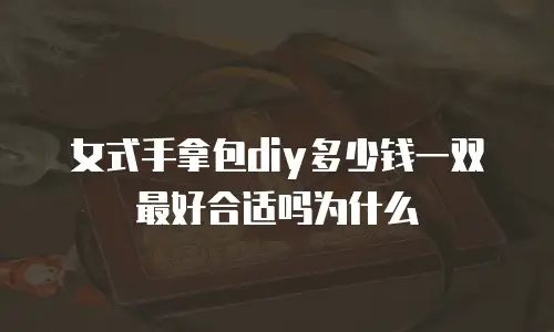 女式手拿包diy多少钱一双最好合适吗为什么
