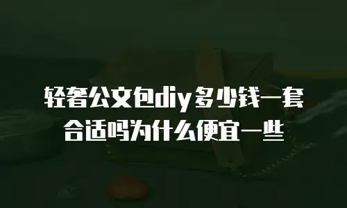 轻奢公文包diy多少钱一套合适吗为什么便宜一些