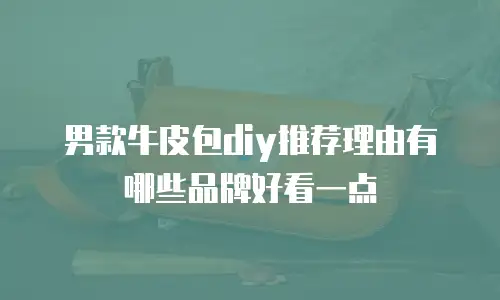 男款牛皮包diy推荐理由有哪些品牌好看一点