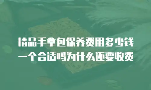 精品手拿包保养费用多少钱一个合适吗为什么还要收费