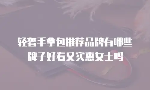 轻奢手拿包推荐品牌有哪些牌子好看又实惠女士吗