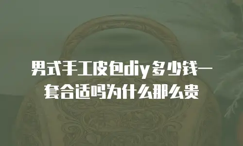 男式手工皮包diy多少钱一套合适吗为什么那么贵
