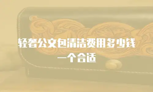 轻奢公文包清洁费用多少钱一个合适