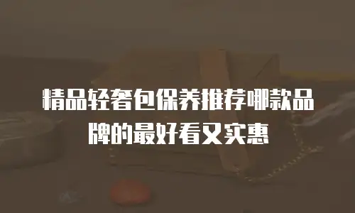 精品轻奢包保养推荐哪款品牌的最好看又实惠