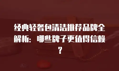 经典轻奢包清洁推荐品牌全解析：哪些牌子更值得信赖？