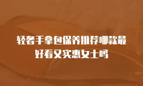 轻奢手拿包保养推荐哪款最好看又实惠女士吗