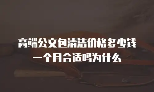 高端公文包清洁价格多少钱一个月合适吗为什么
