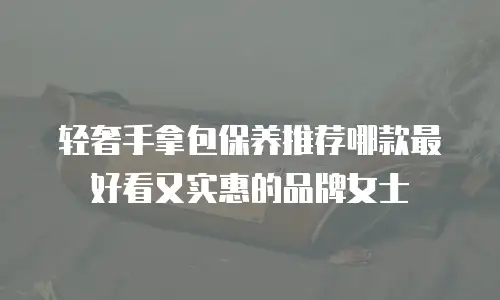 轻奢手拿包保养推荐哪款最好看又实惠的品牌女士
