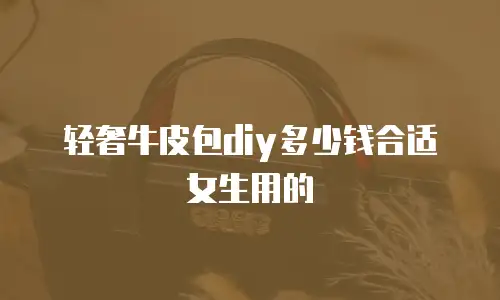 轻奢牛皮包diy多少钱合适女生用的
