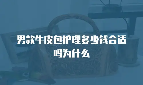男款牛皮包护理多少钱合适吗为什么