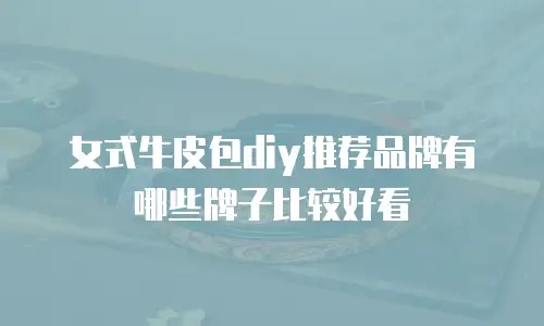 女式牛皮包diy推荐品牌有哪些牌子比较好看