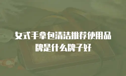 女式手拿包清洁推荐使用品牌是什么牌子好