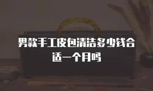 男款手工皮包清洁多少钱合适一个月吗