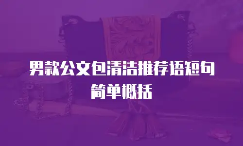 男款公文包清洁推荐语短句简单概括