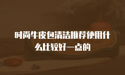 时尚牛皮包清洁推荐使用什么比较好一点的