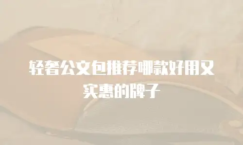 轻奢公文包推荐哪款好用又实惠的牌子