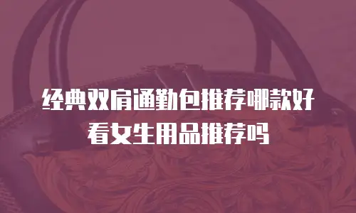 经典双肩通勤包推荐哪款好看女生用品推荐吗