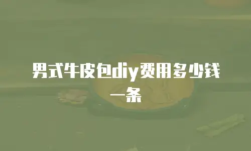 男式牛皮包diy费用多少钱一条