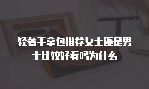 轻奢手拿包推荐女士还是男士比较好看吗为什么