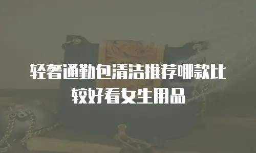 轻奢通勤包清洁推荐哪款比较好看女生用品