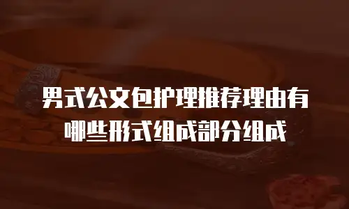 男式公文包护理推荐理由有哪些形式组成部分组成