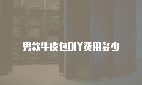 男款牛皮包DIY费用多少