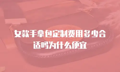 女款手拿包定制费用多少合适吗为什么便宜