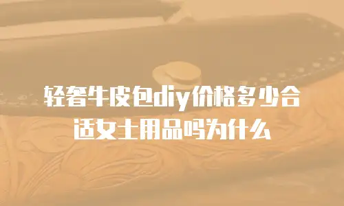 轻奢牛皮包diy价格多少合适女士用品吗为什么