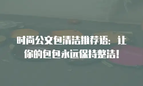 时尚公文包清洁推荐语：让你的包包永远保持整洁！