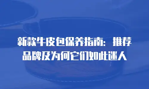 新款牛皮包保养指南：推荐品牌及为何它们如此迷人