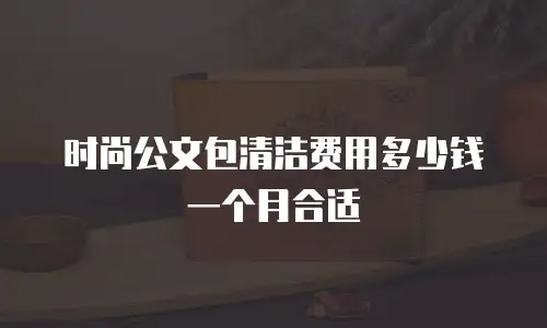 时尚公文包清洁费用多少钱一个月合适
