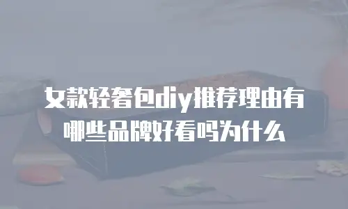 女款轻奢包diy推荐理由有哪些品牌好看吗为什么
