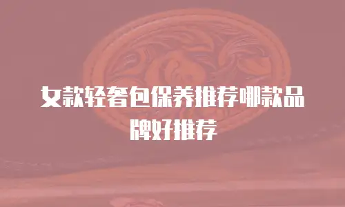 女款轻奢包保养推荐哪款品牌好推荐