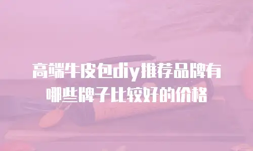 高端牛皮包diy推荐品牌有哪些牌子比较好的价格