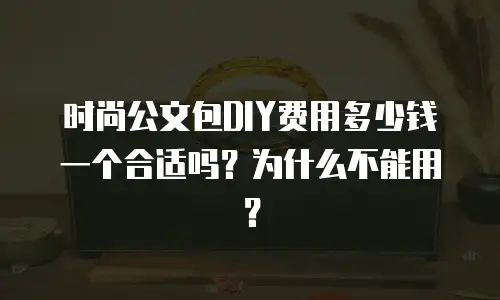 时尚公文包DIY费用多少钱一个合适吗？为什么不能用？